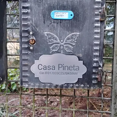 Appartement Casa Pineta *